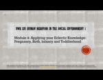 SWK 225: Module 4. Applying your Eclectic Knowledge: Pregnancy, Birth, Infancy and Toddlerhood [Powerpoint] by Erin Stevenson