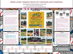 Ability at Bat: Adaptive Sports for Individuals with Disabilities