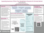 Expanding Awareness of Pelvic Floor Rehabilitation Education for Perinatal Women