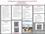 CNS Regulation and Neuroprotection in the NICU/PICU
