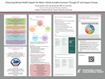 Enhancing Mental Health Support for Motor Vehicle Accident (MVA) Survivors Through Occupational Therapy (OT)-Led Support Groups