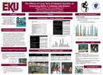 The Effects of Long-term Adapted Aquatics on Swimming with Autism by Louisa Summers