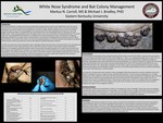White Nose Syndrome and Bat Colony Management by Markus Carroll