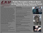 Public Perception of Black Bears on the Daniel Boone National Forest by Mitchell Taylor and Michael J. Bradley