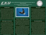 Analysis of Bald Eagle Tourism and the Potential Economic Impact in Western Kentucky by Annamarie Brown