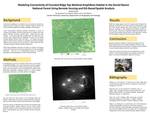 Modeling Connectivity of Forested Wetland Amphibian Habitat in the Daniel Boone National Forest Using Remote Sensing and GIS-Based Spatial Analysis by Jamie Farrar