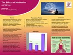 The Effects Of Meditation On Stress by Megan L. Jones