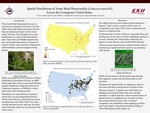 Spatial Distribution of Amur Bush Honeysuckle (Lonicera maackii) Across the Contiguous United States. by Calvin T. Andries