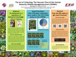 The Art of Collecting: The Vascular Flora of the Central Kentucky Wildlife Management Area (CKWMA) by Nicholas A. Koenig and Melanie A. Link-Perez PhD