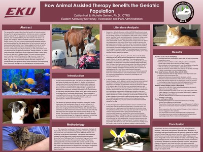 How Animal Assisted Therapy Benefits the Geriatric Population