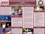 How Animal Assisted Therapy Benefits the Geriatric Population by Caitlyn L. Hall and Michelle Gerken