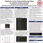 MapReduce Based String-Matching Algorithms for Malicious Domain Detection by Allen C. Roberts and Trevor D. Rice