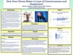How Does Stress Relate to Loss of Consciousness and Headaches? by Ashton L. Crenshaw