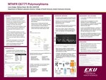 MTHFR C677T Polymorphisms by Laura E. Hedger