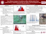 Influence of various meteorological conditions on the movement of White-tailed Deer (Odocoileus virginianus) at the Taylor Fork Ecological Area, Madison County, Kentucky. by Brian Hoover