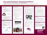 International Adoption: Navigating Health Care by Hallei N. Bittlinger